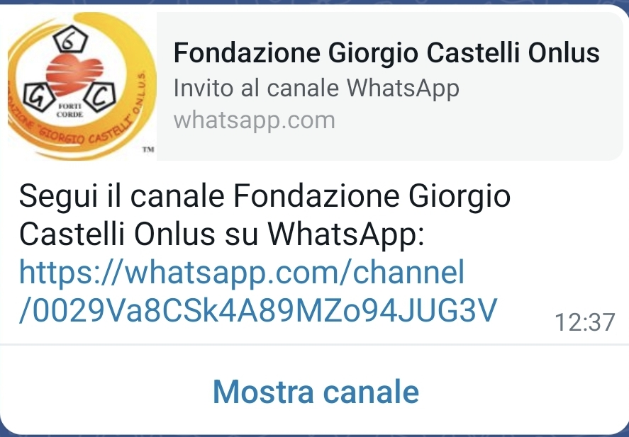 Vi presentiamo il nuovo canale Whatsapp della Fondazione ….